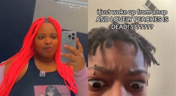 Exploring The "Lovely Peaches Death 2024" Hoax