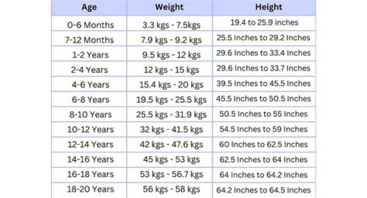 Rachel Bilson's Weight And Height Explored